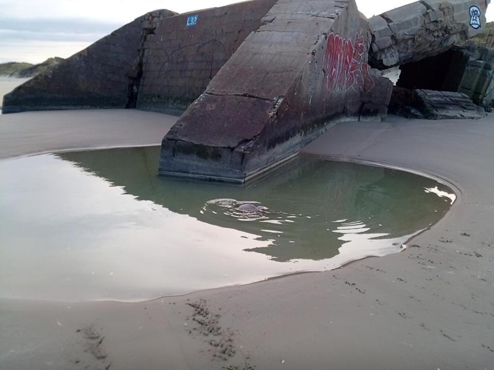 Joe Cocker Apartamento Dunkirk Exterior foto